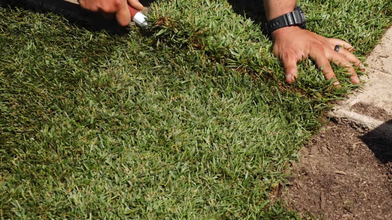 Close-up of professional sod installation and lawn care in El Centro, CA